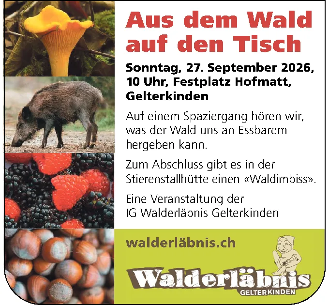 Vier Fotos zeigen einen Pilz, ein Wildschwein, Beeren und Nüsse sowie das Walderläbnis-Logo.