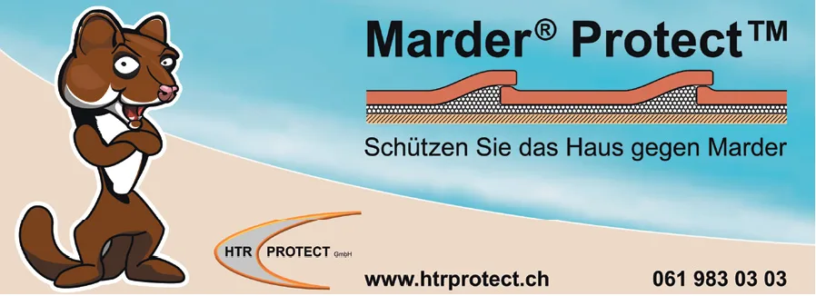 Ein gezeichneter Marder mit verschränkten Armen neben einer Illustration einer Dachkonstruktion mit Marderschutz.