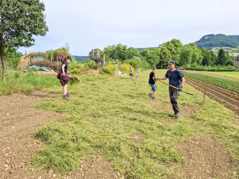 Menschen verteilen mit Rechen frisch gemähtes Gras auf einem Feld, im Hintergrund Hügel und Bäume.