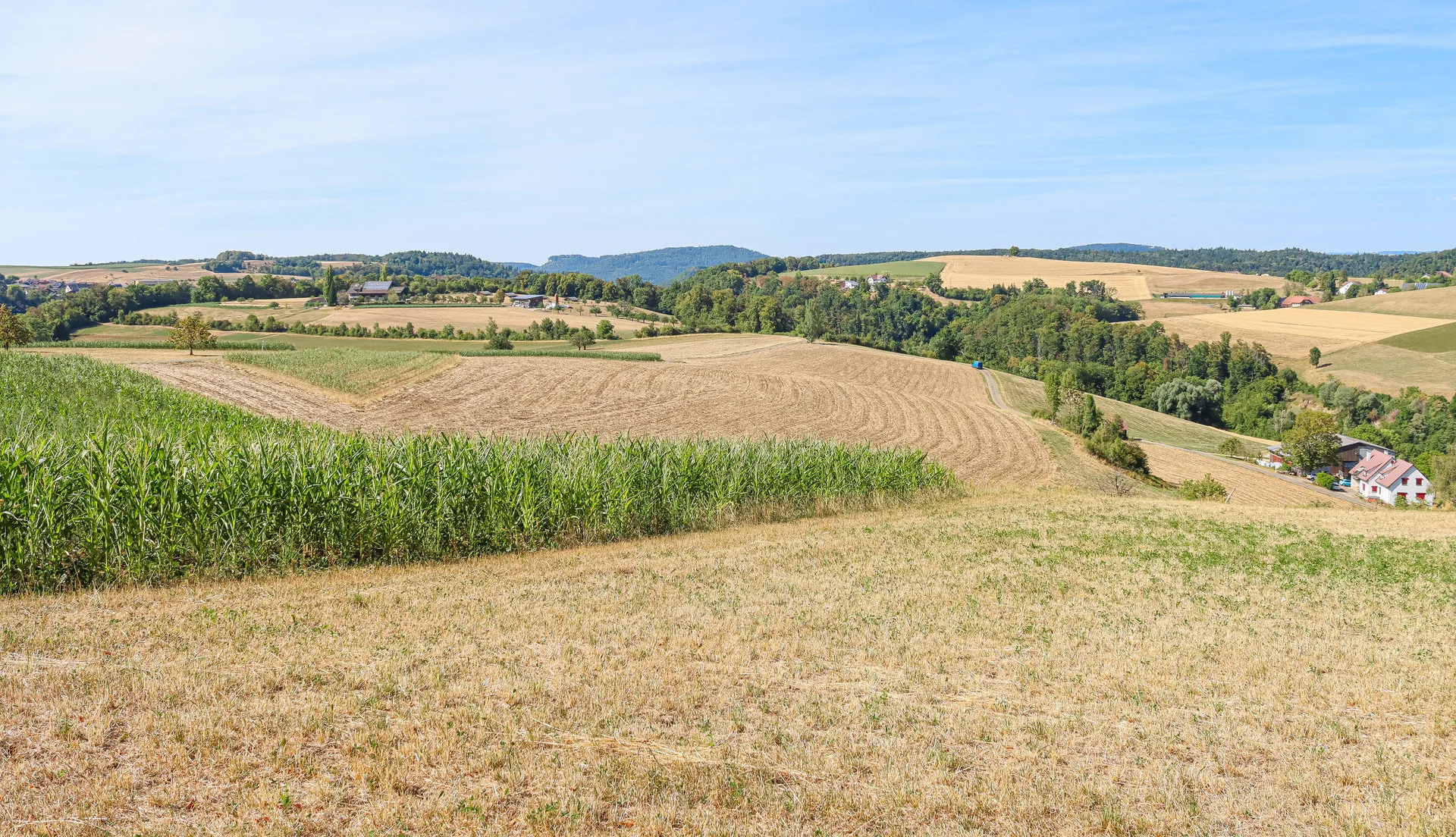 Hügelige Landschaft mit Feldern in unterschiedlichen Grüntönen, Wäldern und einem einzelnen Haus am Horizont.