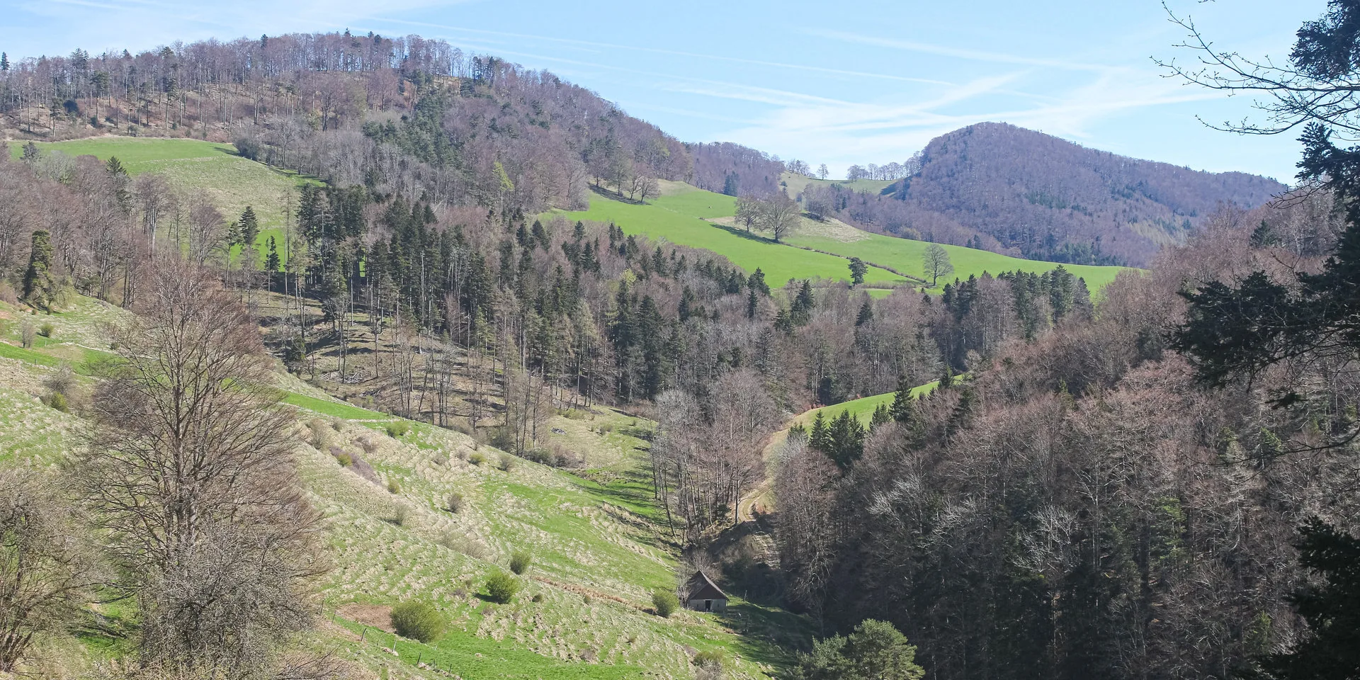 Hügelige Landschaft mit Wäldern und grünen Wiesen unter blauem Himmel.