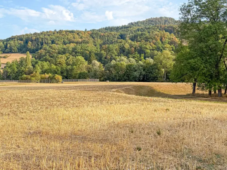 Ein abgeerntetes Getreidefeld vor bewaldeten Hügeln unter leicht bewölktem Himmel.