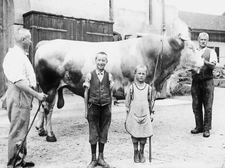 Zwei Männer und zwei Kinder stehen mit einem grossen Rind vor einem Bauernhof.