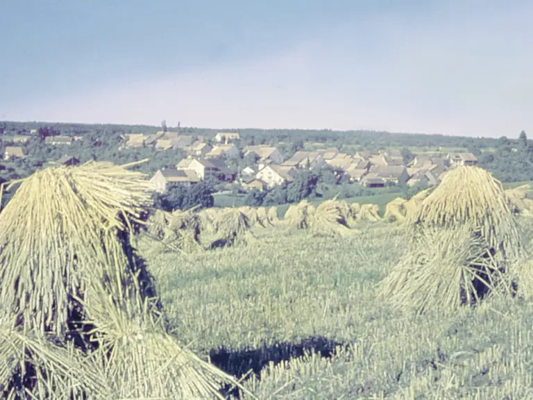 Getreidegarben stehen auf einem abgeernteten Feld, im Hintergrund ein Dorf zwischen Hügeln.