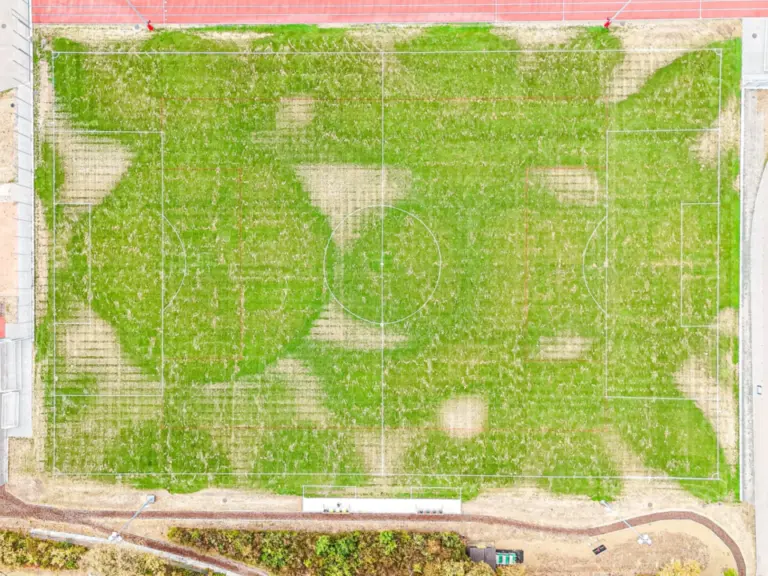 Luftaufnahme eines Fussballfeldes mit ungleichmässig gewachsenem, geflecktem Rasen zwischen roten Gebäudedächern.