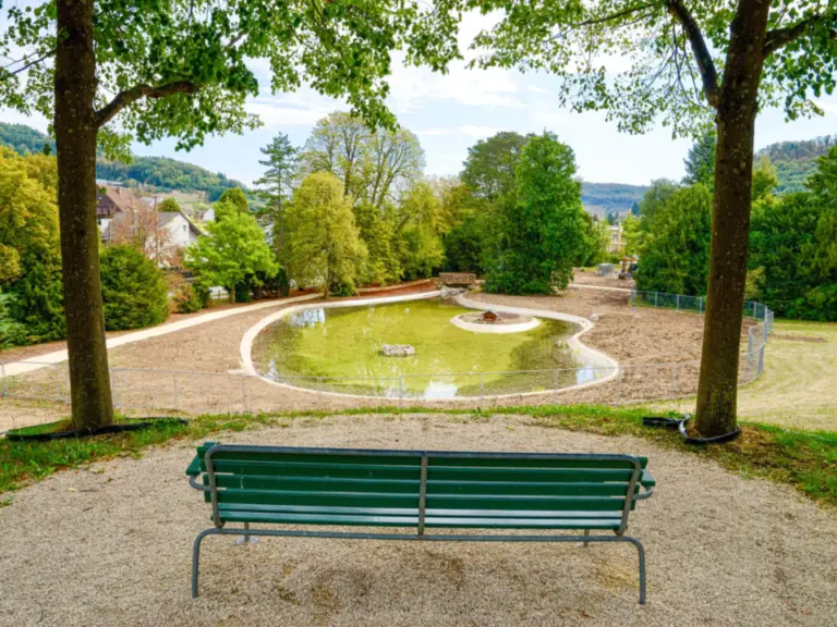 Grüne Parkbank vor einem kleinen Teich in einer Grünanlage mit Bäumen und Häusern im Hintergrund.
