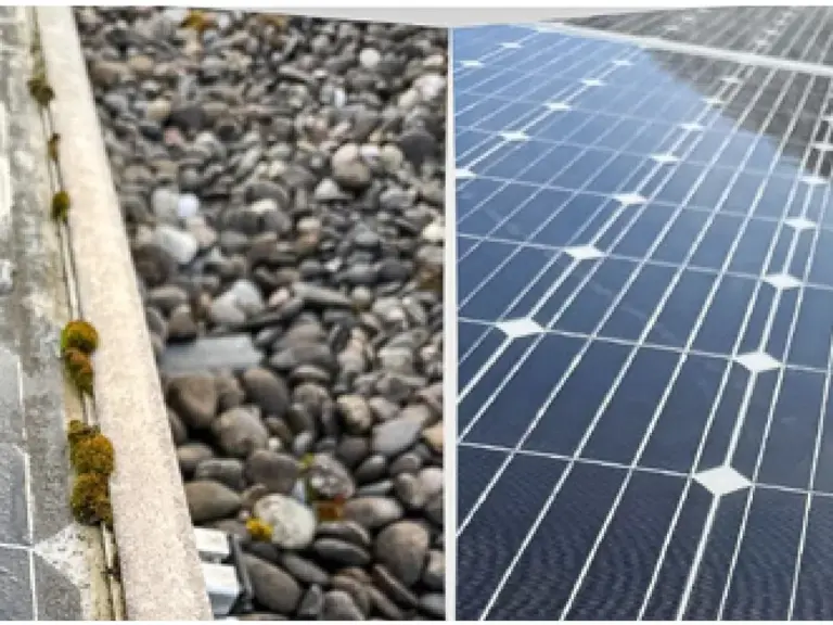 Solarmodule vor und nach der Reinigung durch die Clean-Buddies GmbH.
