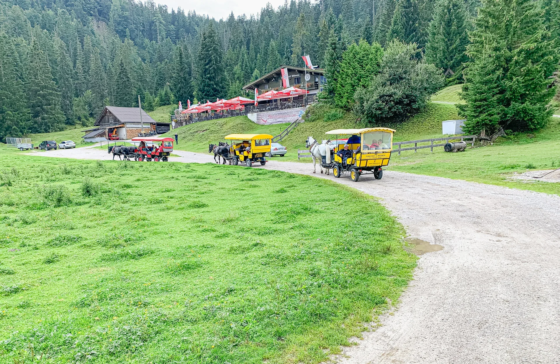 Pferdekutschen mit gelben Wagen fahren einen Schotterweg über eine grüne Almwiese, im Hintergrund ein Berggasthaus mit roten Sonnenschirmen.