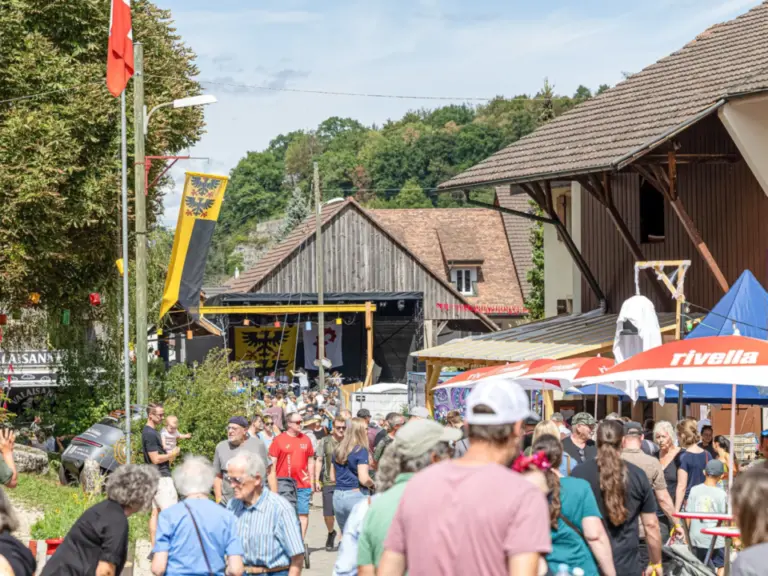 Menschenmenge schlendert durch eine Dorfstrasse mit Ständen, Sonnenschirmen und alten Holzhäusern.