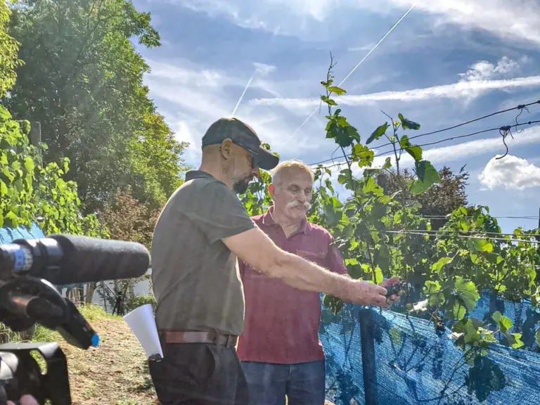 Zwei Männer betrachten in einem Rebberg Weinreben, im Vordergrund filmt eine Kamera die Szene.
