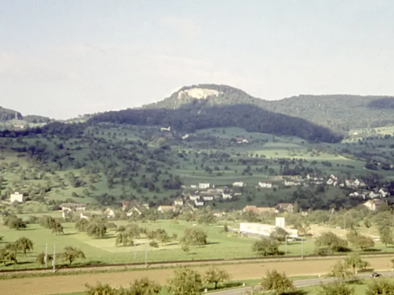 Hügelige Landschaft mit bewaldeten Kuppen, einem Dorf im Tal und Obstbäumen auf Wiesen im Vordergrund.