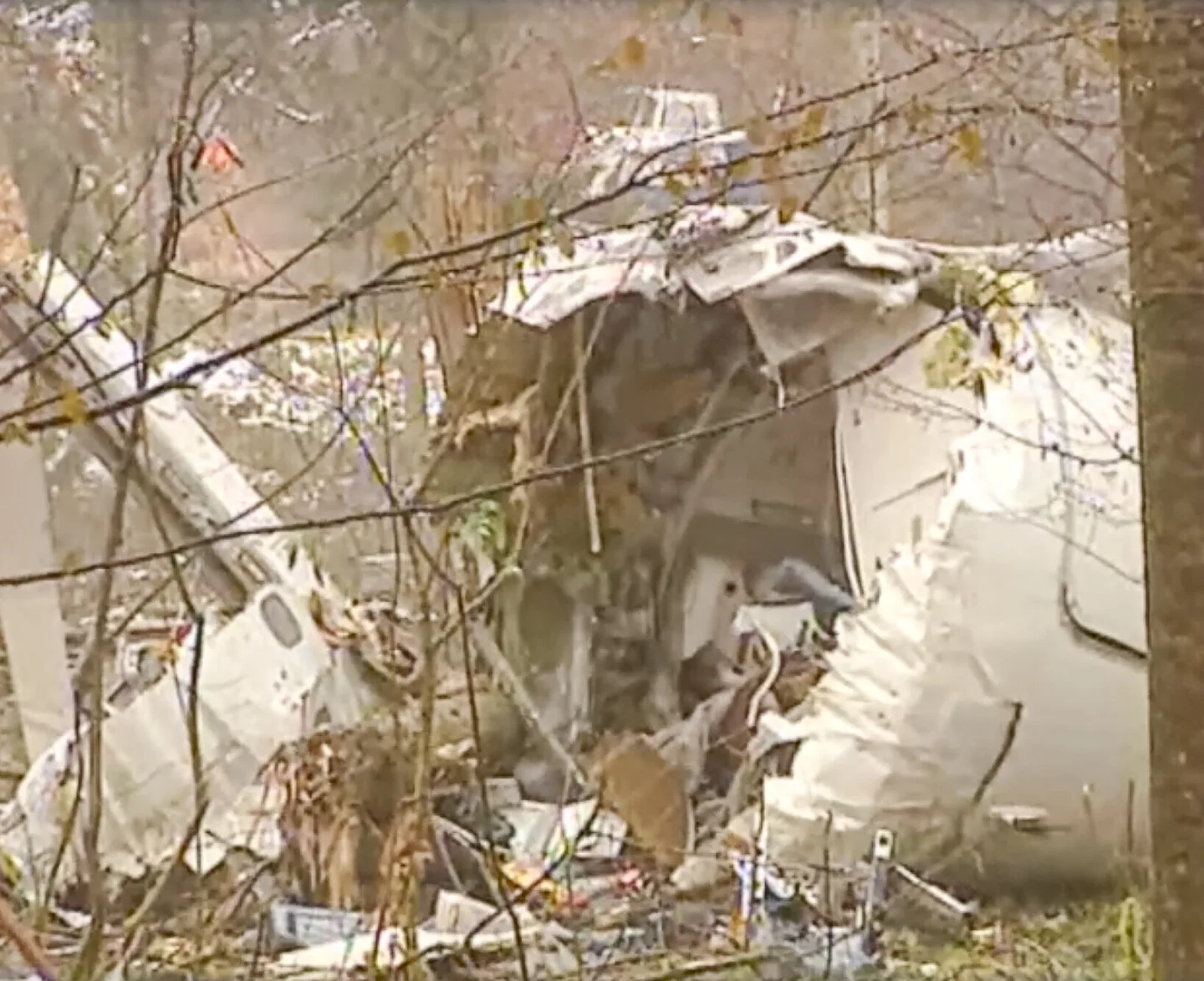 Zerstörtes Flugzeugwrack mit aufgerissenem Rumpf liegt zwischen Bäumen und Ästen im Wald.
