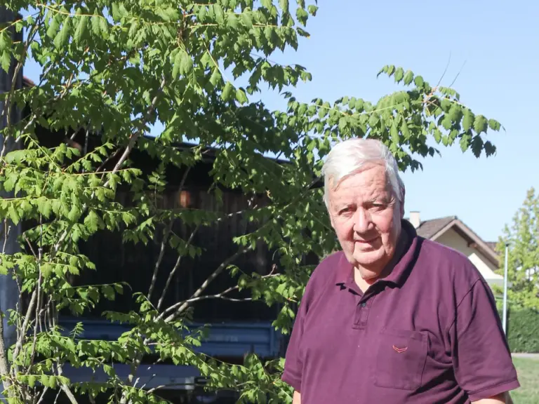Ein älterer Mann im Bordeaux-Poloshirt steht neben einem jungen Baum in einem Garten.