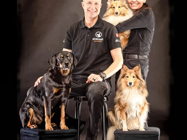 Ana Lienert und Oliver Weber schaffen Vertrauen zu Hunden.