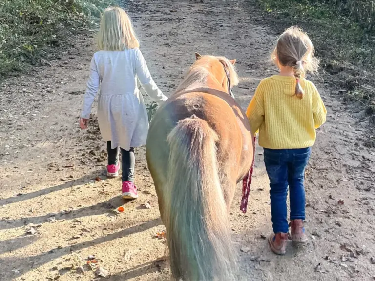 Spielerisch sammeln Kinder erste Erfahrungen mit Ponys.