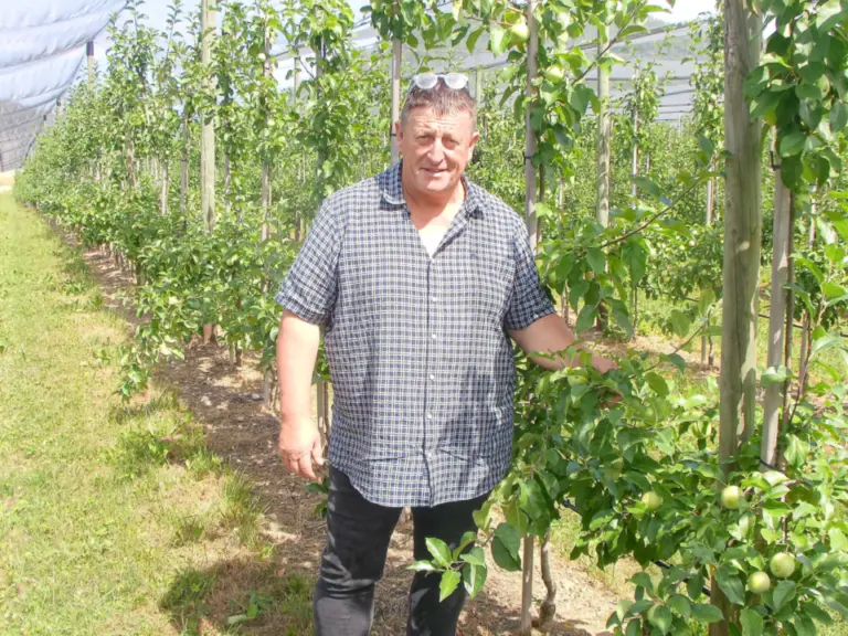 Ein Mann im karierten Hemd steht zwischen Obstbaumreihen in einer Plantage.