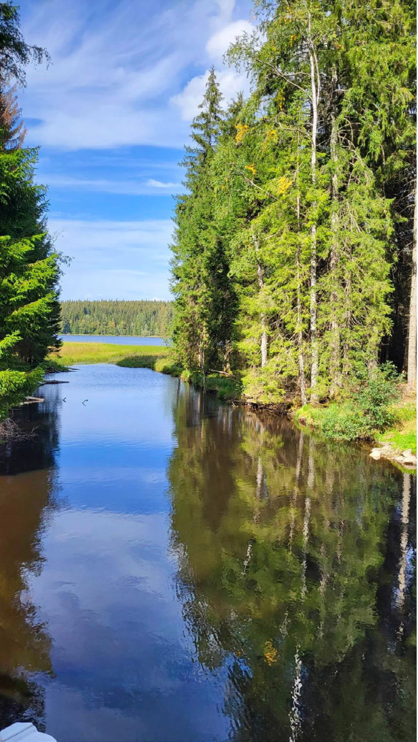 Den Windgfällweiher im Naturschutzgebiet im Schwarzwald hat Monika Fischer aus Wintersingen fotografiert.