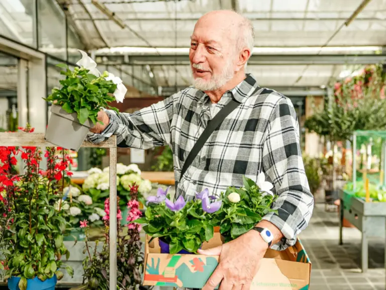 Ein älterer Mann hält in einem Gartencenter eine blühende Pflanze und trägt weitere Blumen in einem Karton.
